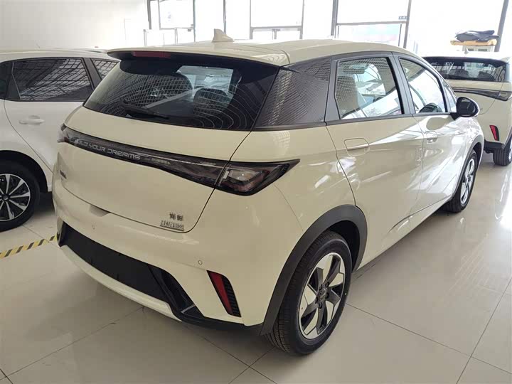 Фото 7 - BYD Dolphin