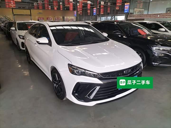 Фото 4 - Geely Binrui