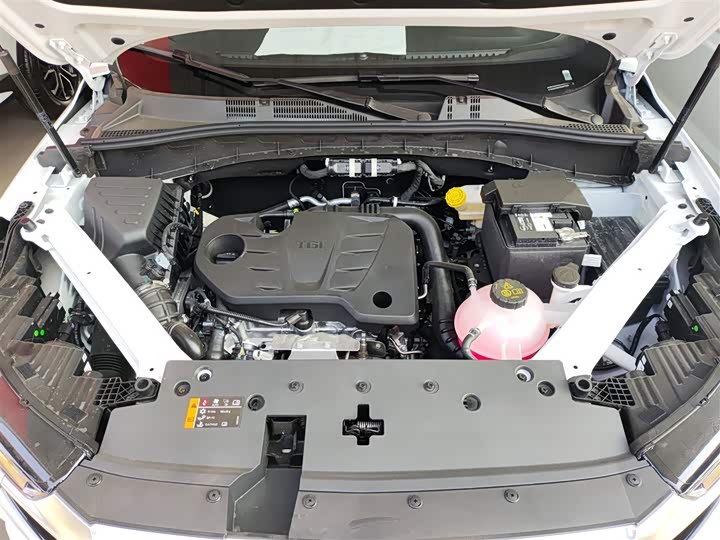 Фото 20 - Roewe RX5