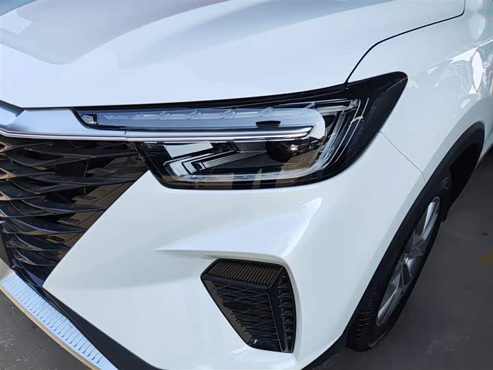 Фото 24 - Roewe RX5