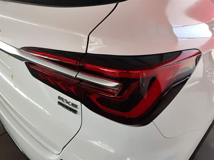 Фото 8 - Roewe RX5