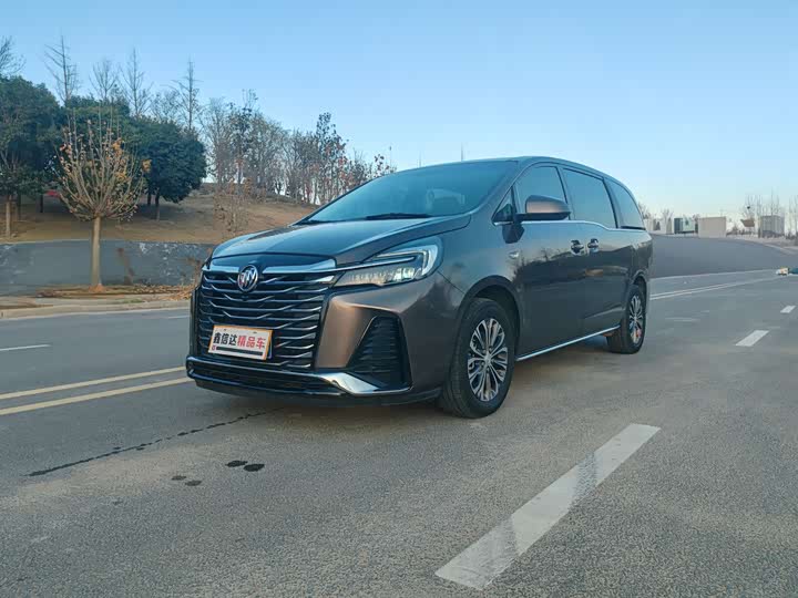 Фото 1 - Buick GL8 ES