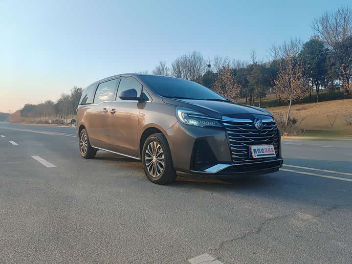 Фото 3 - Buick GL8 ES