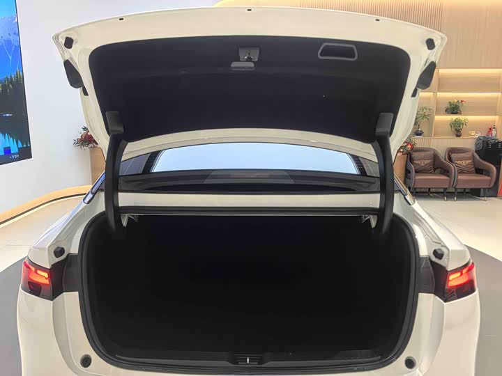 Фото 25 - XPeng P5