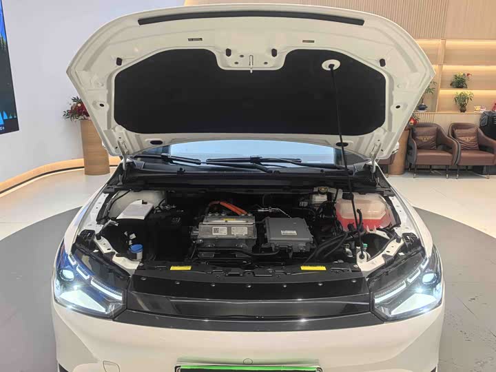 Фото 26 - XPeng P5