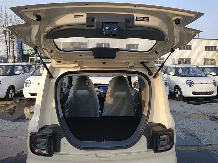 Фото 19 - Geely Galaxy Panda Mini