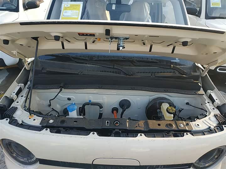 Фото 20 - Geely Galaxy Panda Mini