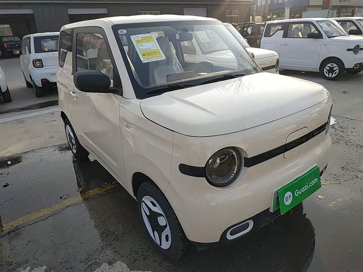 Фото 4 - Geely Galaxy Panda Mini