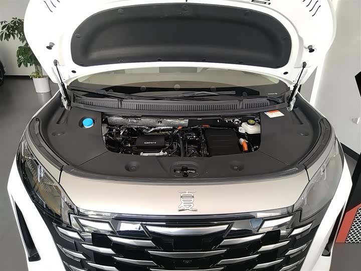 Фото 20 - BYD Xia