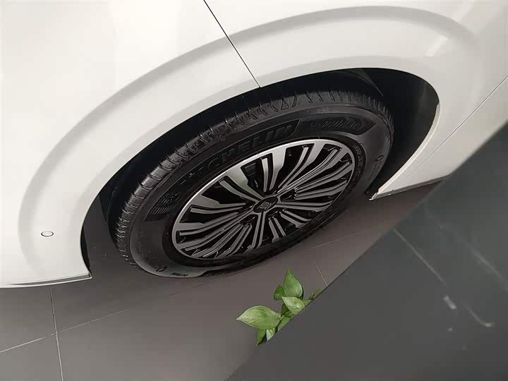 Фото 23 - BYD Xia