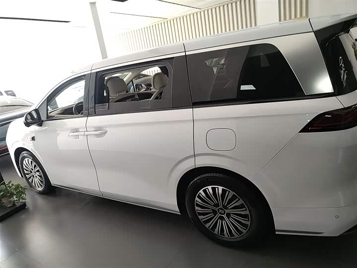 Фото 5 - BYD Xia