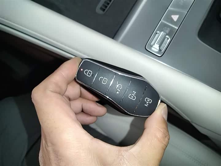 Фото 9 - BYD Xia