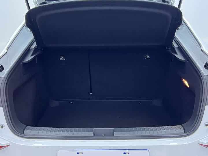 Фото 8 - Volkswagen Lamando L