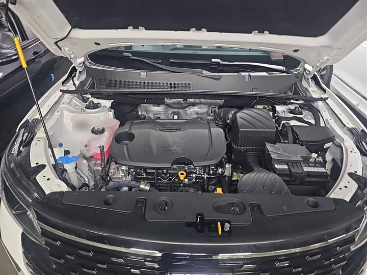 Фото 20 - Geely Okavango Pro