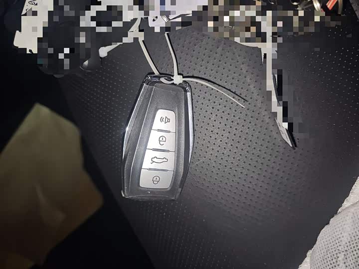 Фото 9 - Geely Okavango Pro