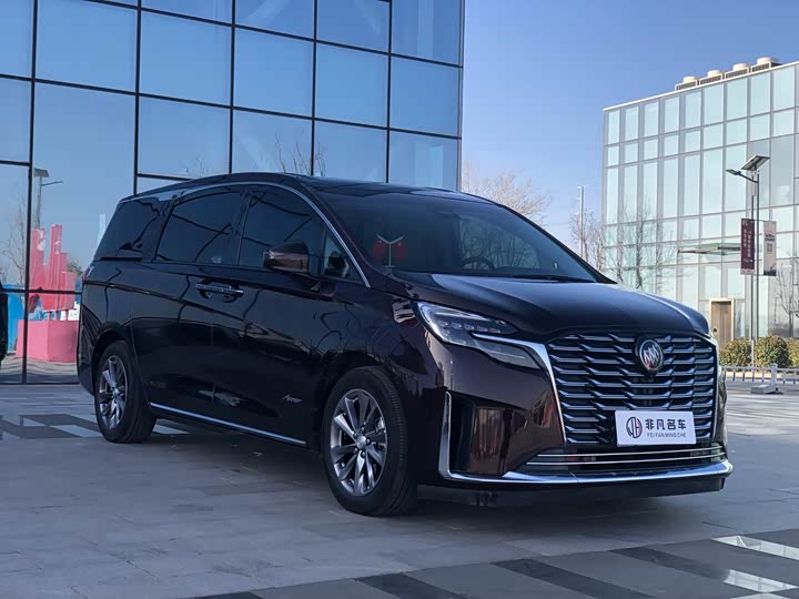 Фото 2 - Buick GL8 ES