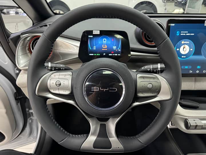 Фото 10 - BYD Dolphin