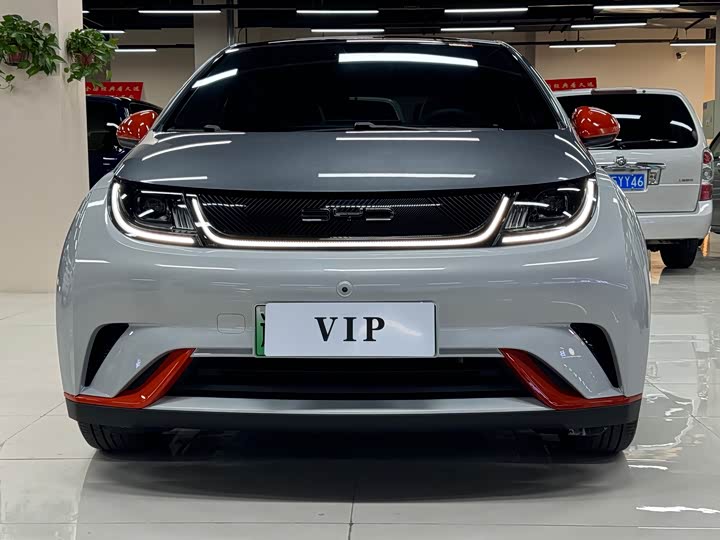 Фото 2 - BYD Dolphin