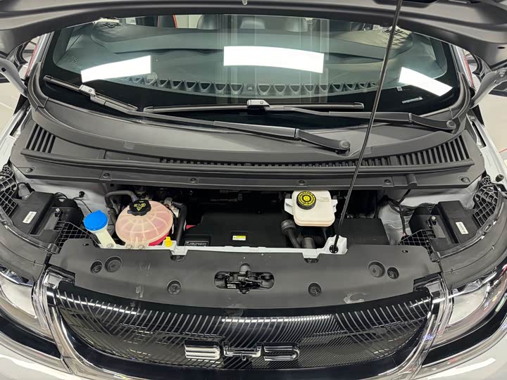 Фото 20 - BYD Dolphin