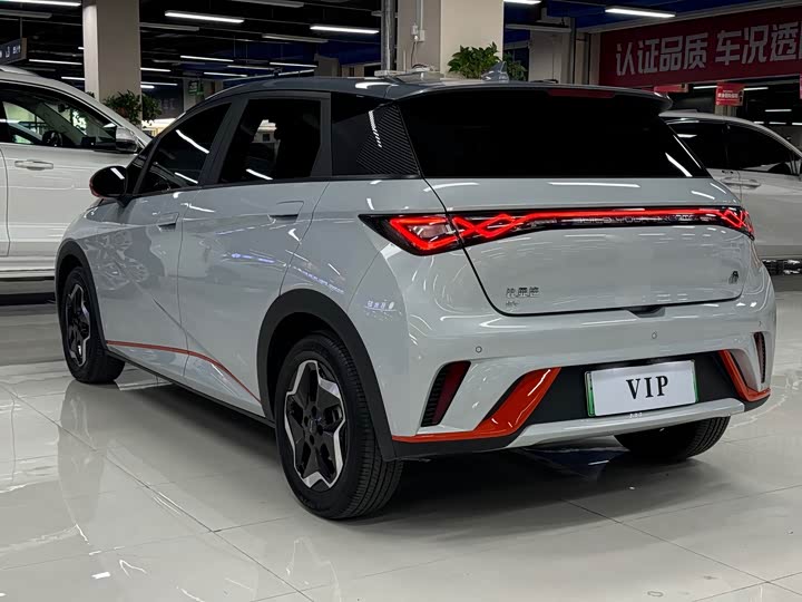 Фото 4 - BYD Dolphin