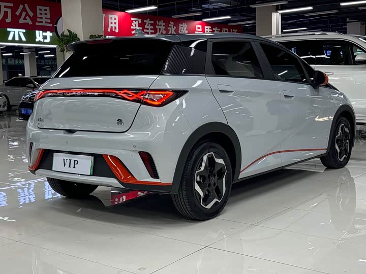 Фото 6 - BYD Dolphin