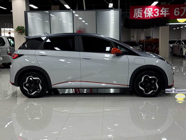 Фото 8 - BYD Dolphin