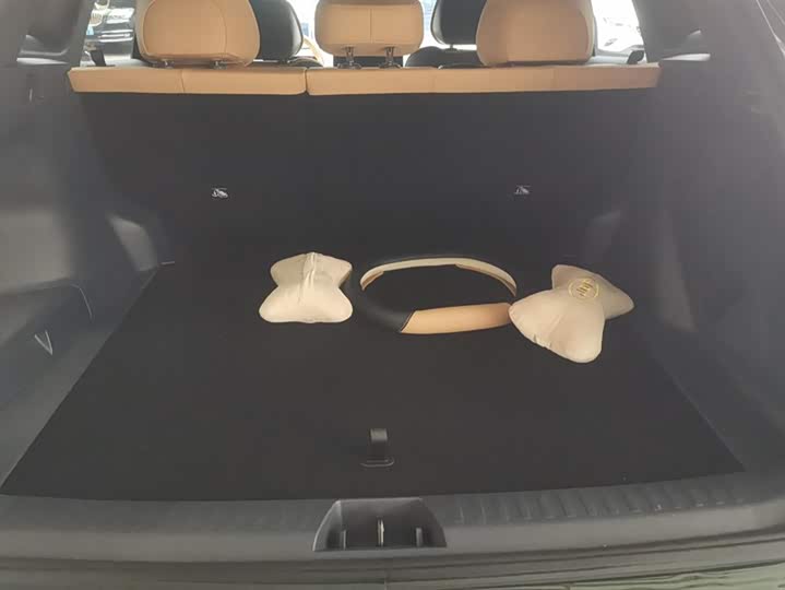 Фото 4 - Geely Galaxy Starship 7