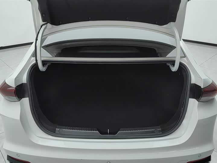 Фото 4 - GAC Trumpchi Empow R