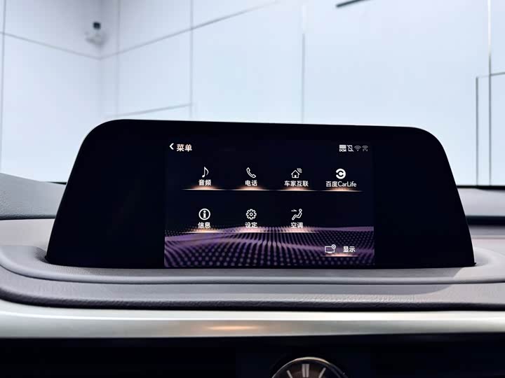 Фото 13 - Lexus RX