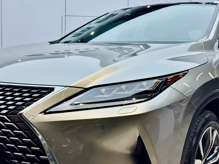 Фото 27 - Lexus RX