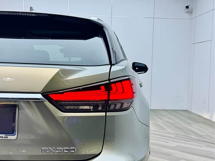Фото 30 - Lexus RX