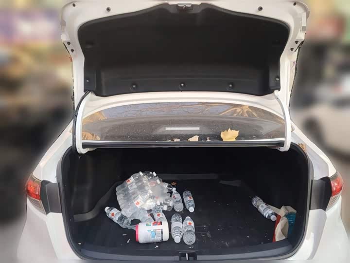 Фото 10 - Toyota Levin