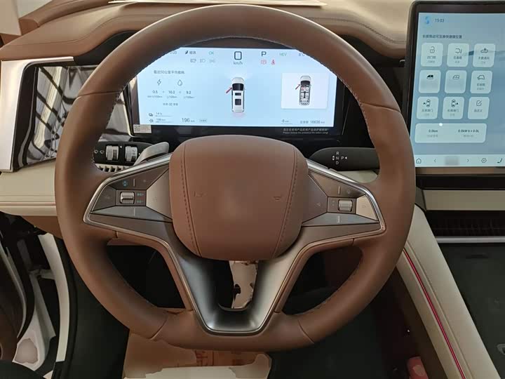 Фото 11 - BYD Xia