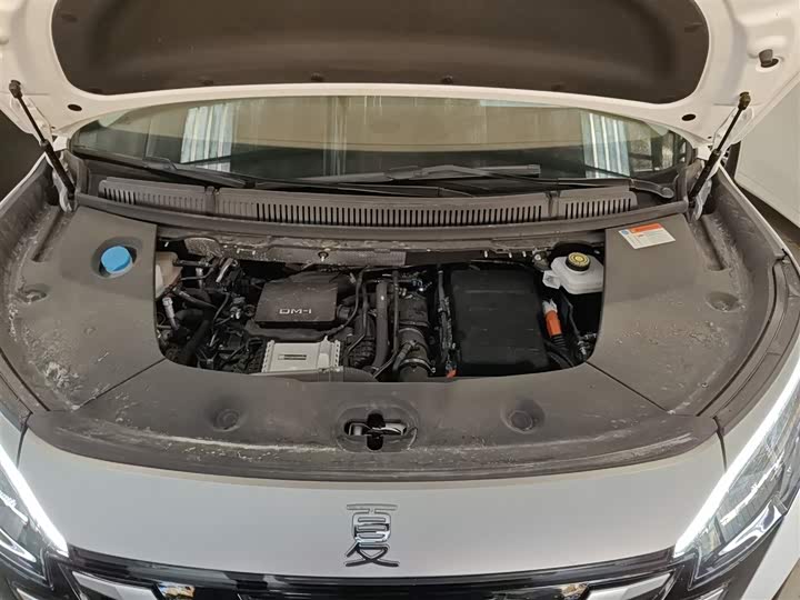 Фото 20 - BYD Xia