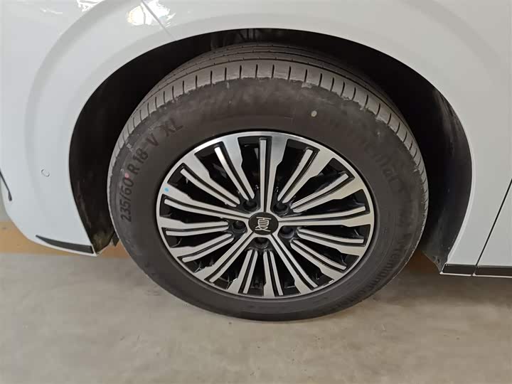 Фото 23 - BYD Xia