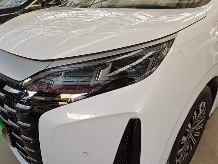 Фото 24 - BYD Xia