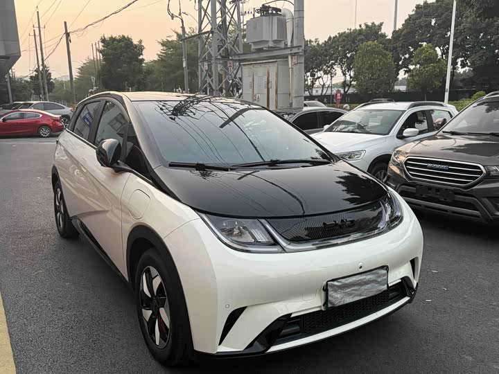 Фото 3 - BYD Dolphin