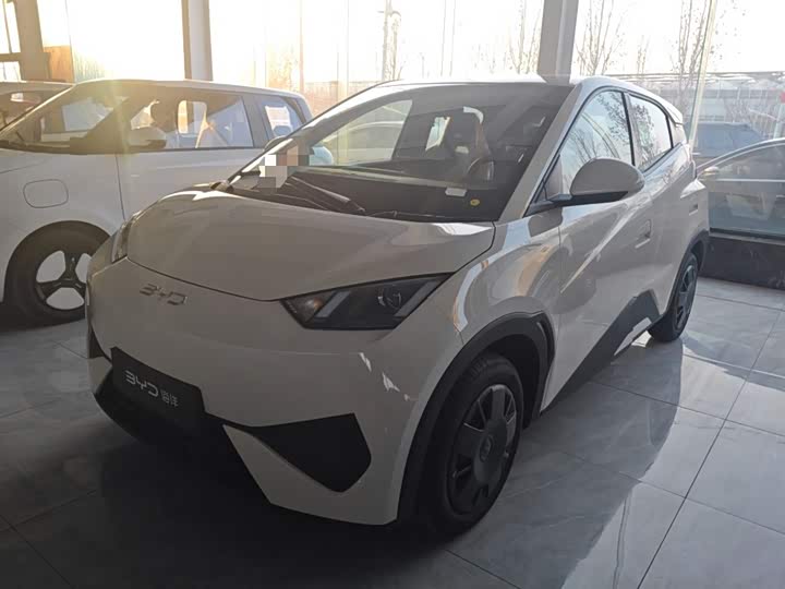 Фото 1 - BYD Seagull