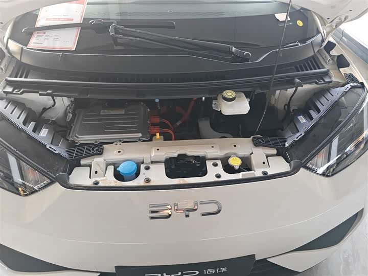 Фото 20 - BYD Seagull