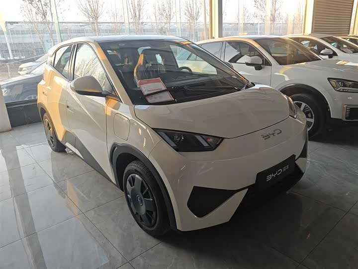 Фото 4 - BYD Seagull