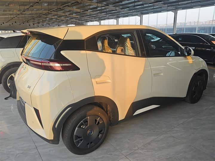 Фото 5 - BYD Seagull