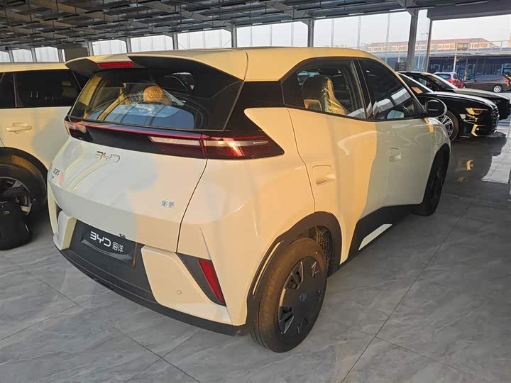 Фото 7 - BYD Seagull