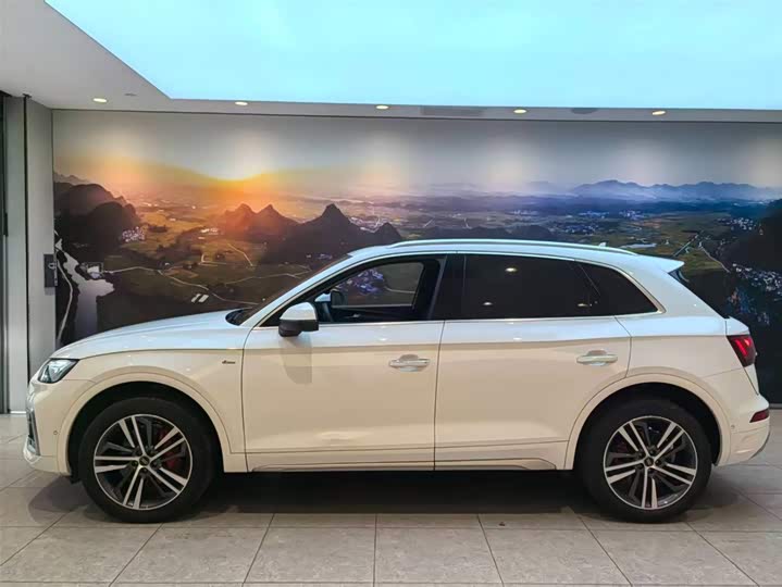 Фото 5 - Audi Q5L