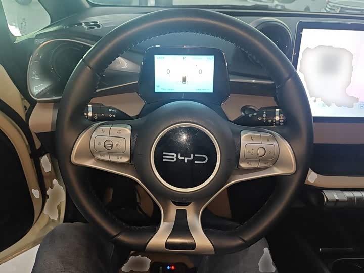 Фото 11 - BYD Dolphin