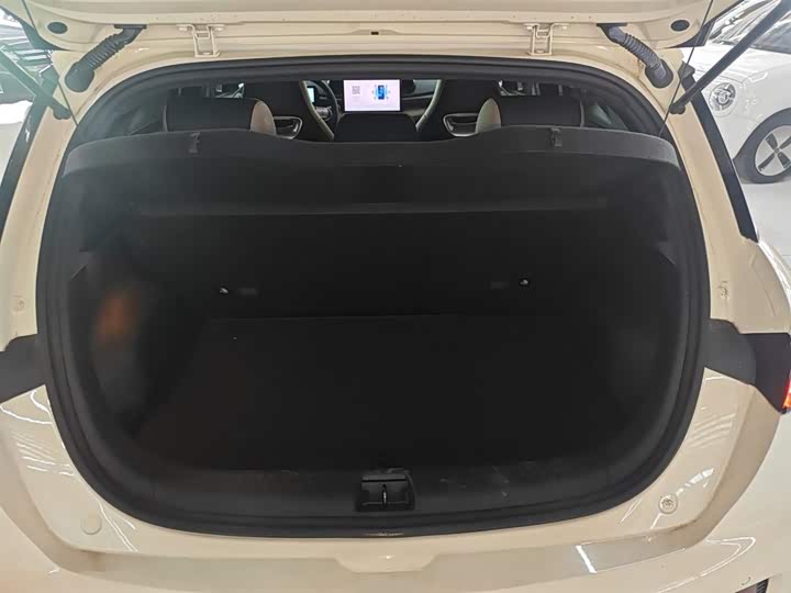 Фото 19 - BYD Dolphin