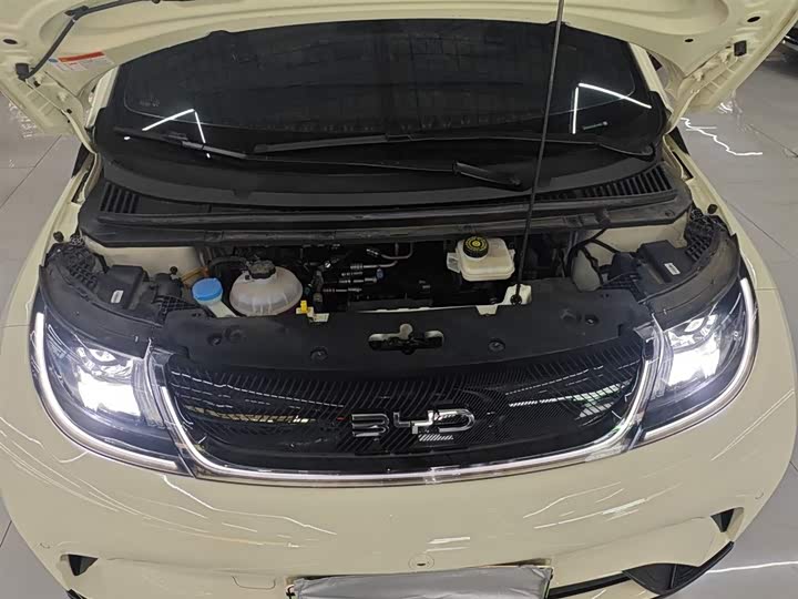 Фото 20 - BYD Dolphin