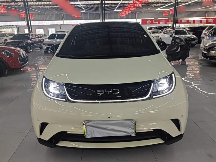 Фото 3 - BYD Dolphin