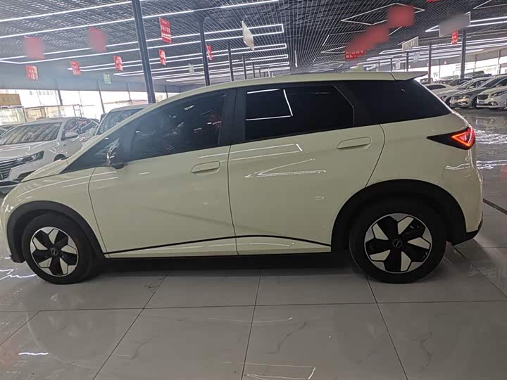 Фото 5 - BYD Dolphin