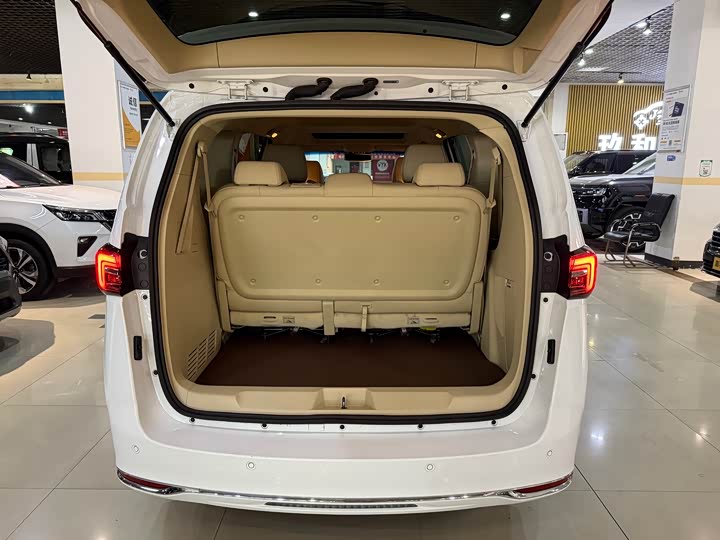 Фото 14 - Buick GL8 ES