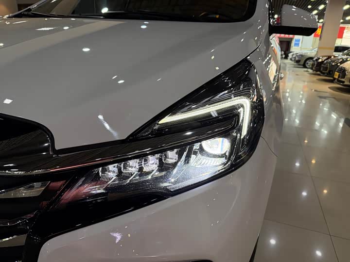 Фото 19 - Buick GL8 ES